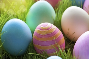 Close Up Of Many Colorful Easter Eggs On Sunny Green Gras For Easter Or Seasons Greetings Eggs Pink And Orange